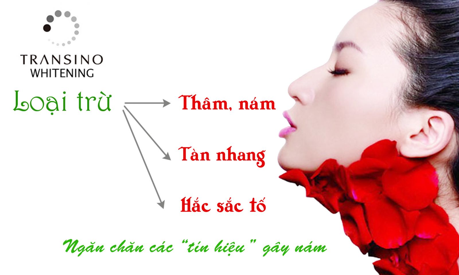 kem-duong-trang-da-vien-uong-tri-nam-transino-whitening-nhat-ban-3125