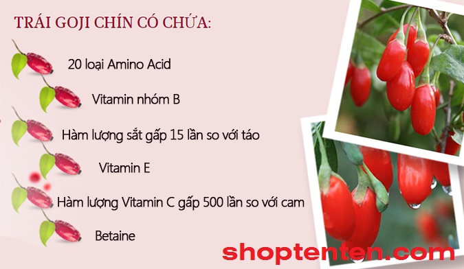 kem-duong-trang-da-kem-chong-lao-hoa-goji-cream-3176